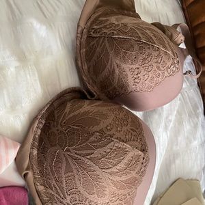 brown lace t shirt bra